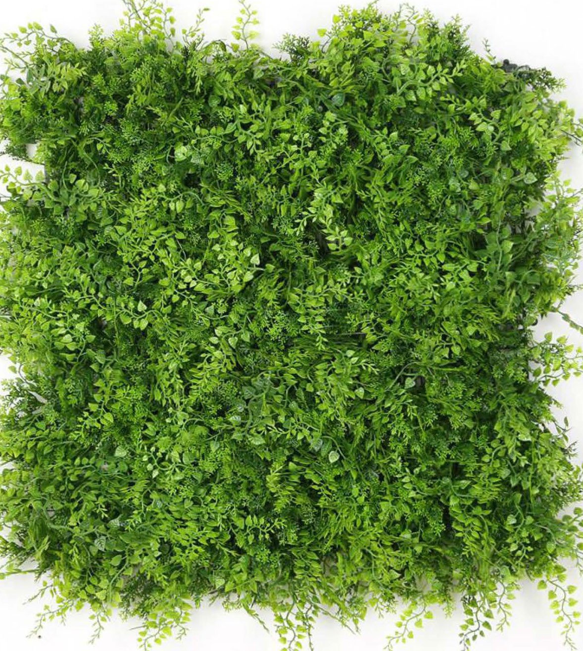Green Plants Wall Decor ??? Emirates Home
