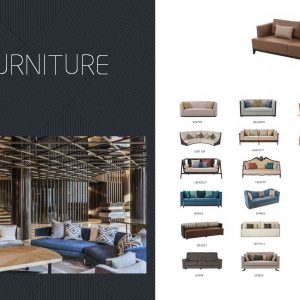 Exquisite Sofa Design