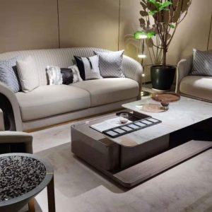 Clean Cream Furniture Sofa Set