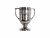 Champions Cup Vase