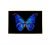 Beautiful Butterfly Painting